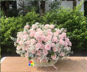 Pink roses basket send to Saigon