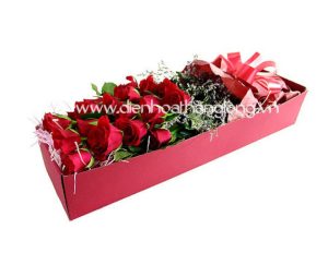 Flower Box 023