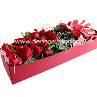 Flower Box 023