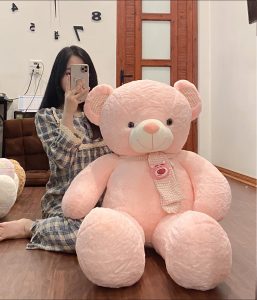 Buy Pink teedy bears in Saigon