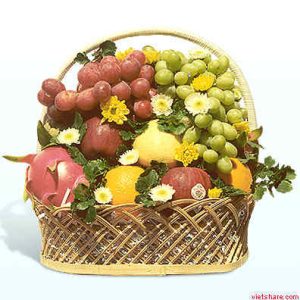 Fruit Basket 004