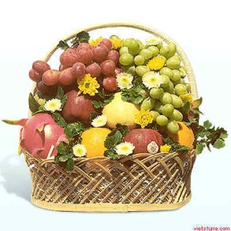 Fruit Basket 004