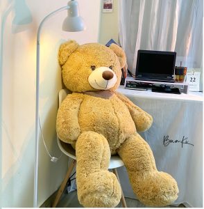 Sending teddy bear to my girlfriend in Saigon