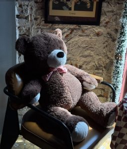 Teddy bear delivery Saigon