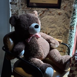 Teddy bear delivery Saigon