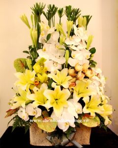 Vip Flowers 037