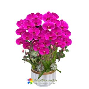 Pot of purple phalaenopsis orchids as a gift for Mom